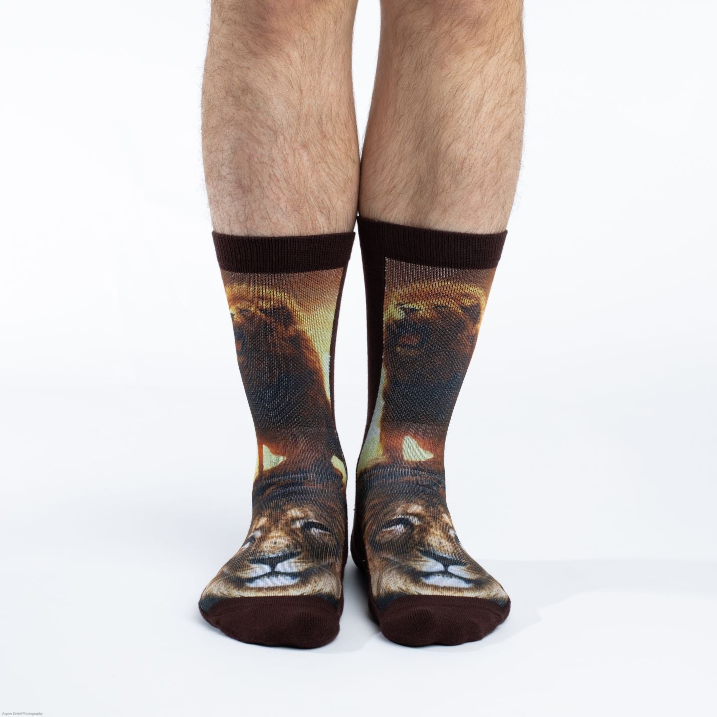 Men's Lion Socks image 0