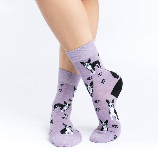 Women's Boston Terrier Socks image 0