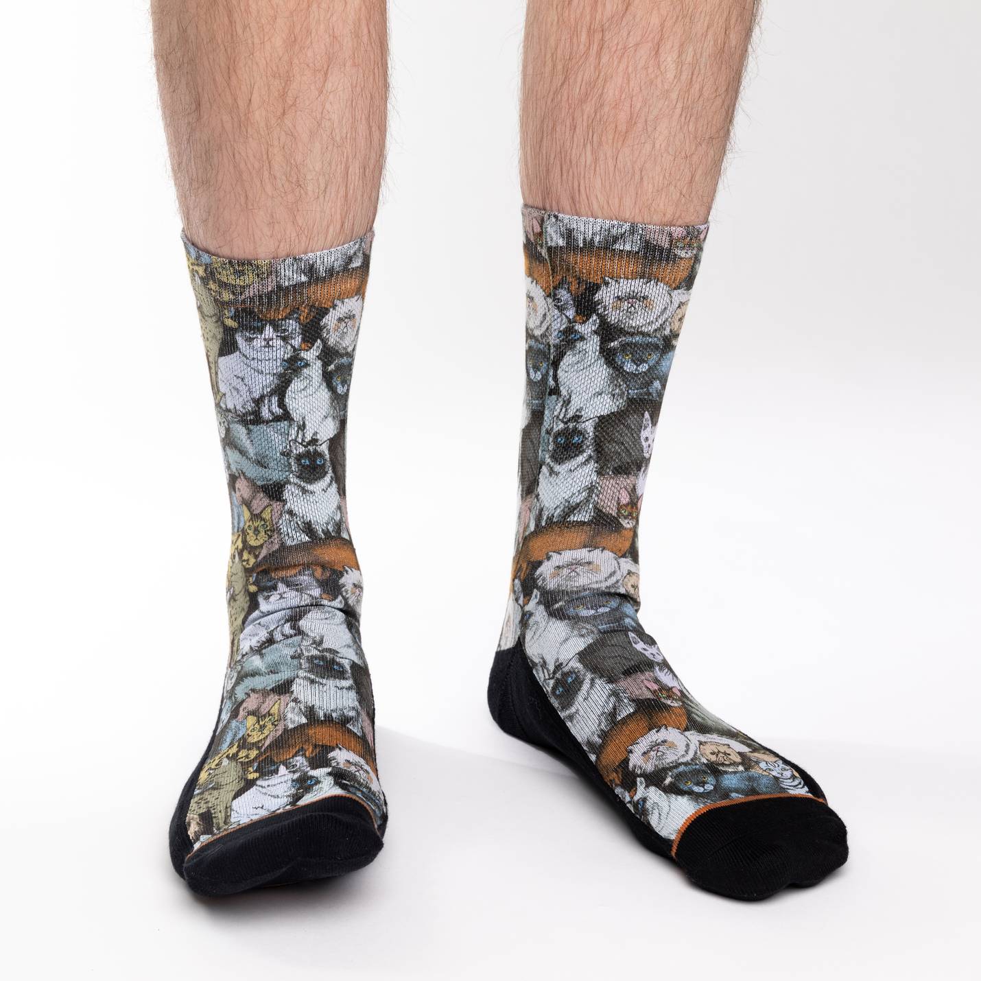 Men's Social Cats Socks image 1